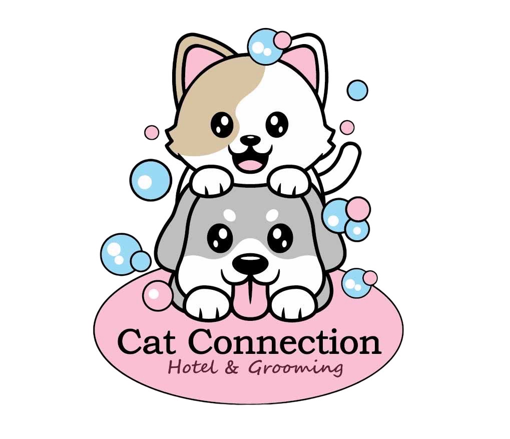cat Connection